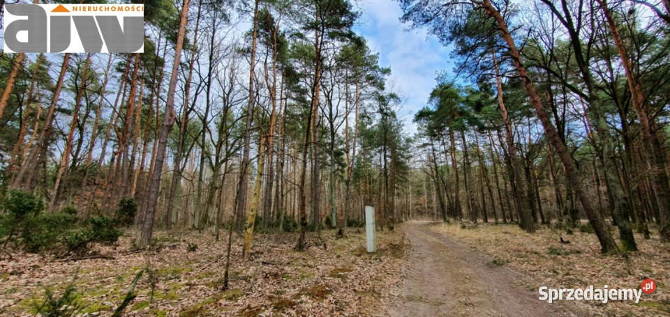 sprzedaży gruntu 3500m2 Wólka