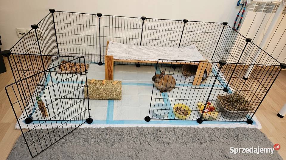 Metalowa klatka kojec świnki morskiej i królika Mikstat