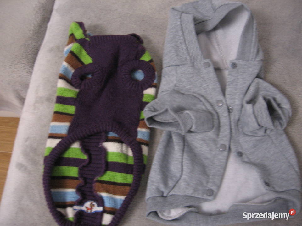 Ubranka psa małego bonus smycz sznurkowa Olsztyn