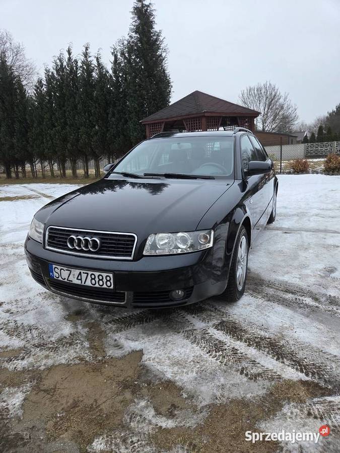 Audi A4 B6 19 TDI 115 2004r 115KM