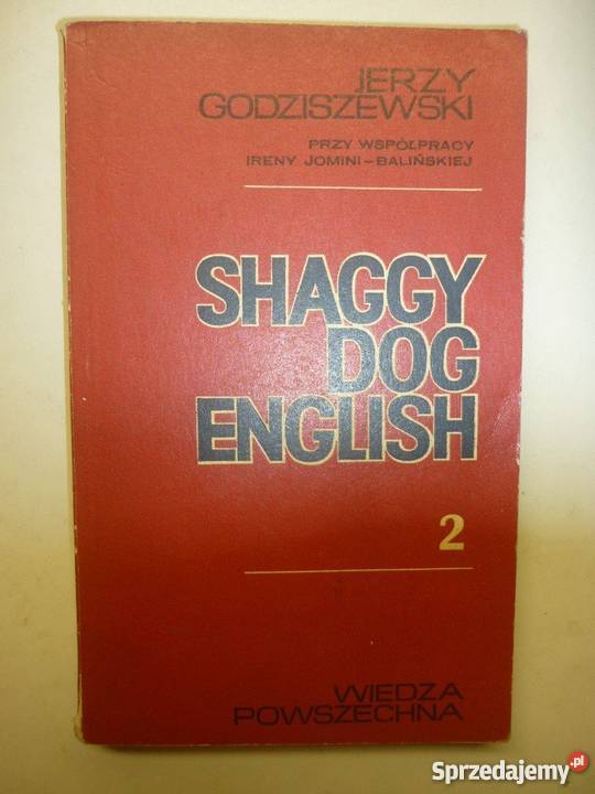 SHAGGY DOG ENGLISH 2 JERZY GODZISZEWSKI Elbląg