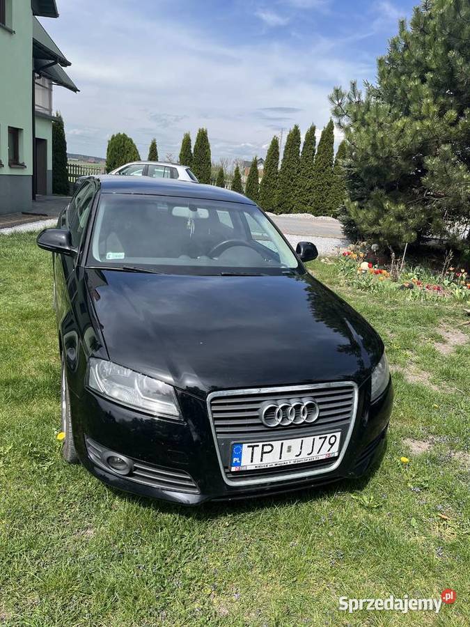 Audi a3 8p 19TDI 4/5 Pińczów