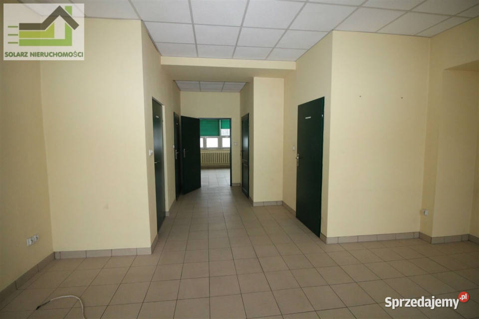 wynajmu lokalu 70m2 Sosnowiec sprzedam