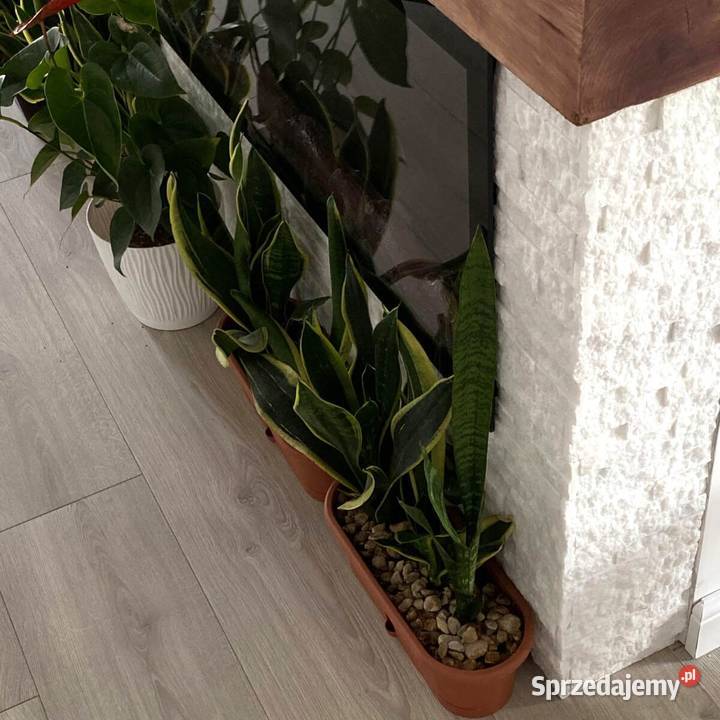 Panel ścienny Marmur White Stackstone 10x36x0813 Gdynia