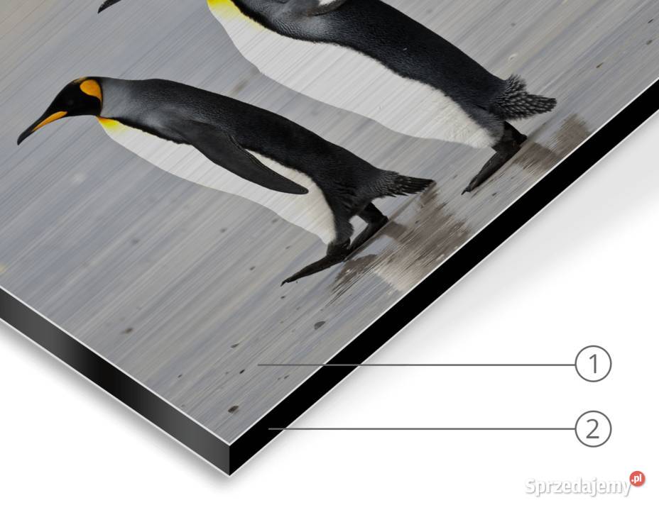 Banery szyldy reklamowe kasetony Dibond plexi Warszawa