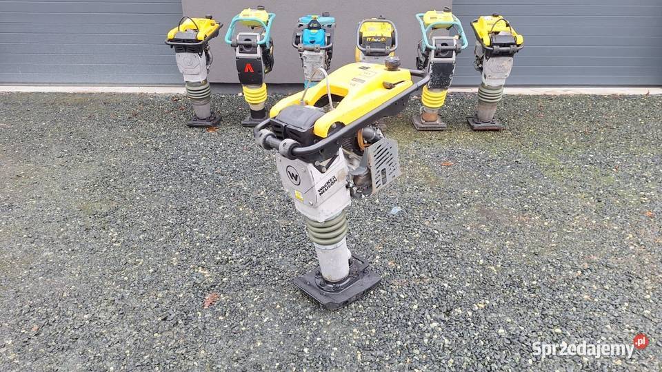 Skoczek Stopa WACKER NEUSON BS 504 500 18 Ammann Rok produkcji 2018 dolnośląskie Trzebnica