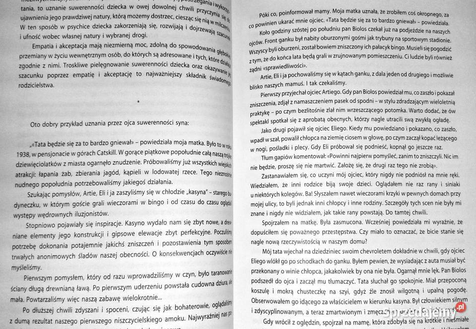 Dary codzienności Poradnik uważnego Pozostałe sprzedam