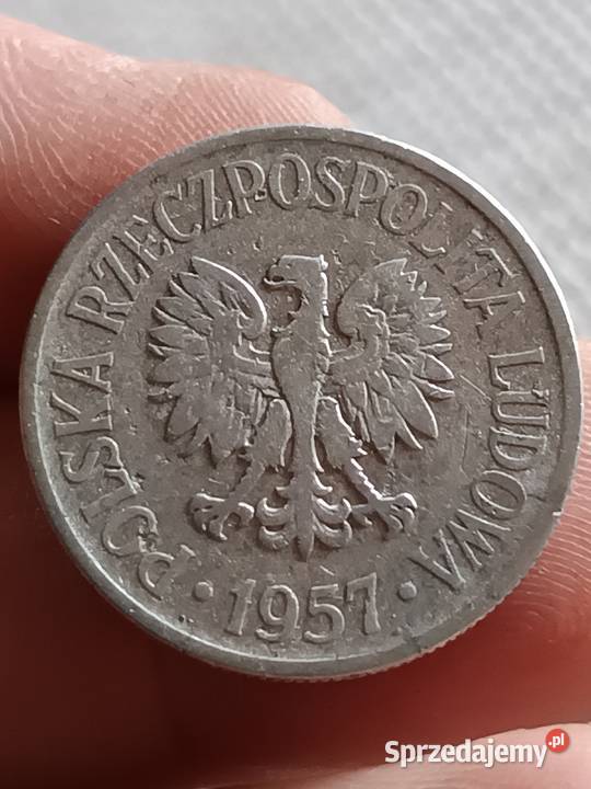 Sprzedam monete 50 groszy 1957 aaaa Chełm
