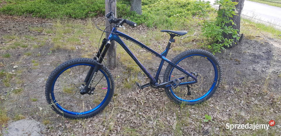Dartmore primal łódzkie Pabianice
