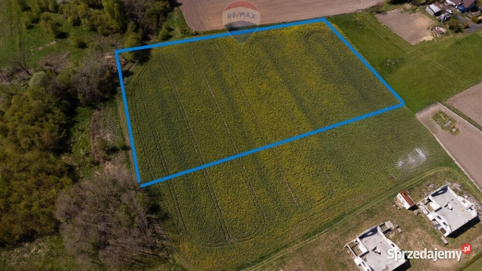 DZIAŁKA BUDOWLANA CZARKÓW KPSZCZYNY Czarków sprzedam