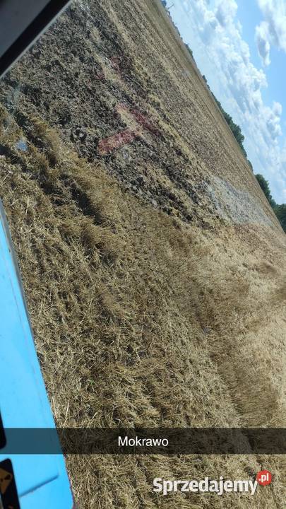 Sprzedam Siano śląskie Pińczyce