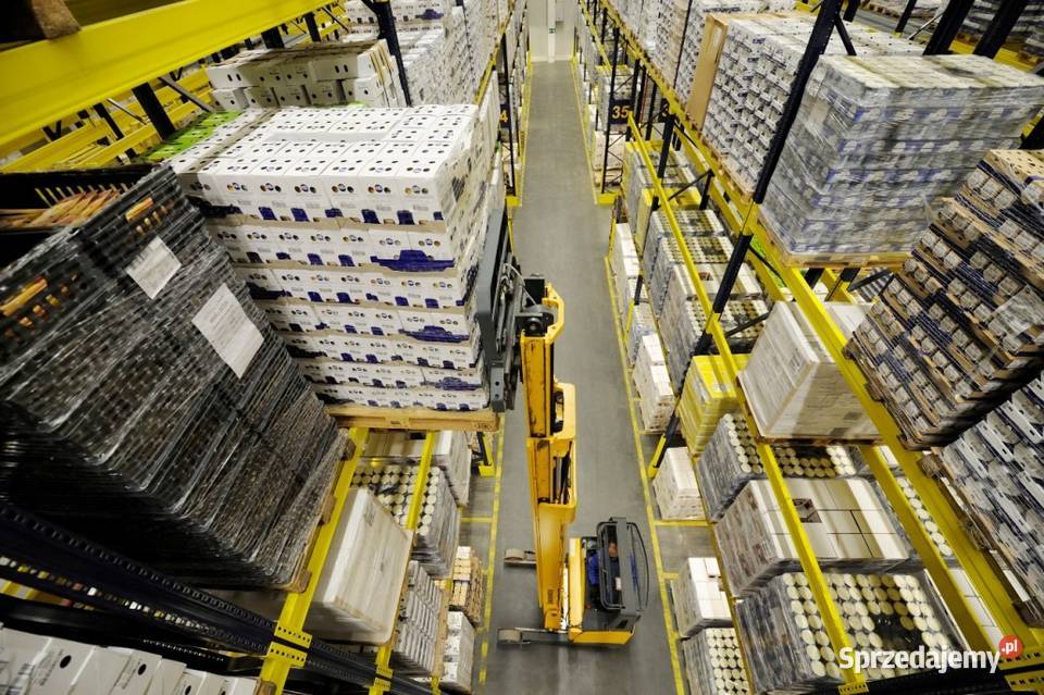 Cement Biały AALBORG WHITE Portlandzki CEM I 525 Kraków