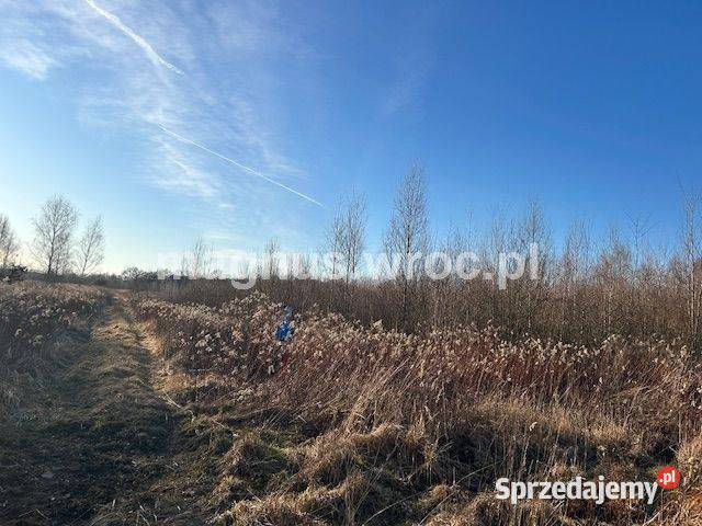 Oferuję działke inwestycyjną w Jerzmanowie 3580m2 Wrocław