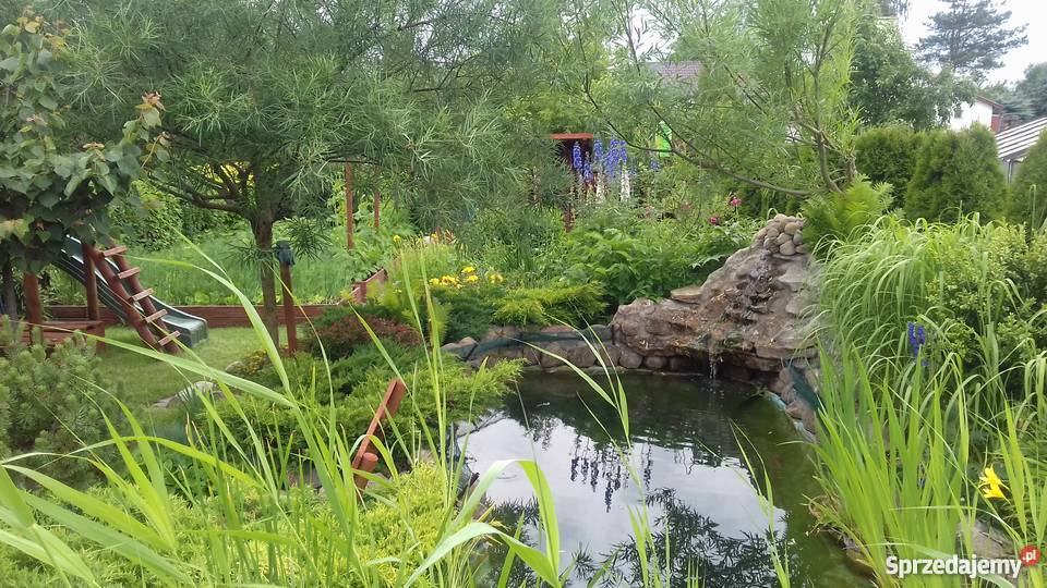 Działka na ROD do zamieszkania Człuchów