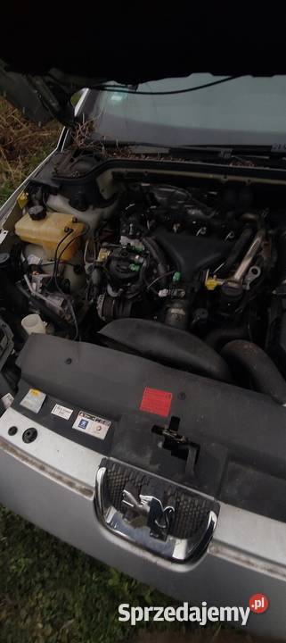 Peugeot 407sw diesel Cisek