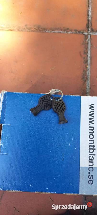 Bagażnik dachowy Mont Blanc Fit 20 stalowy Bagażniki wielkopolskie Kościan