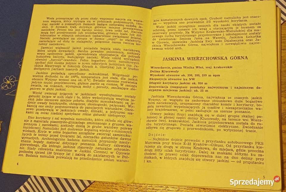 Jaskinia Wierzchowska Górna Andrzej Górny Kraków