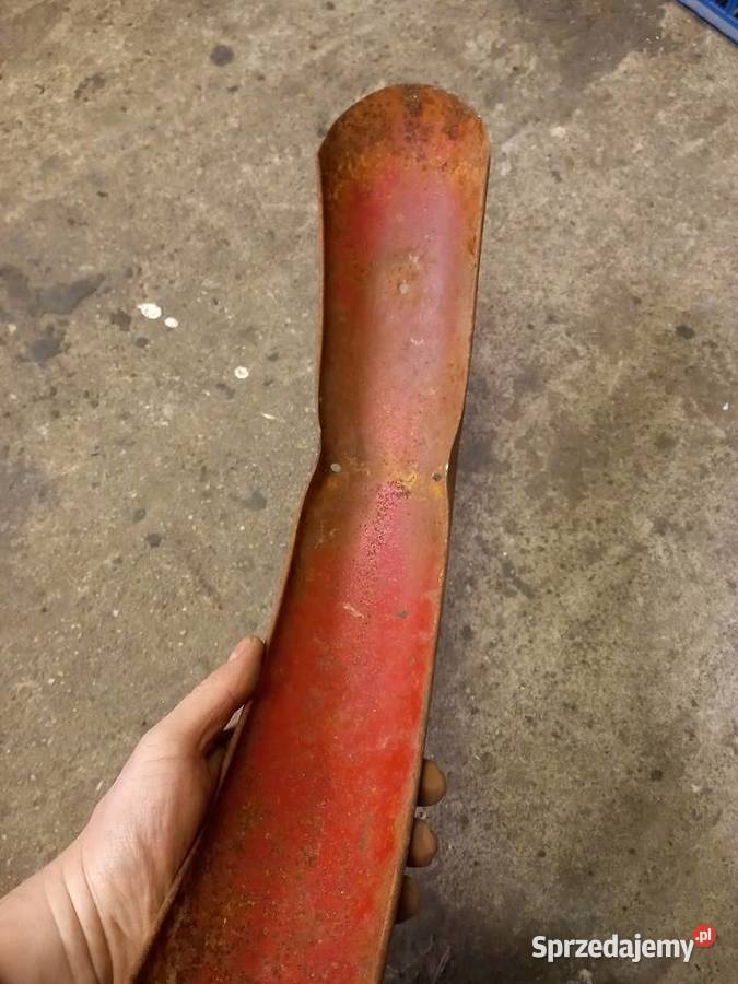 Blotnik zak rye Sokołów Podlaski