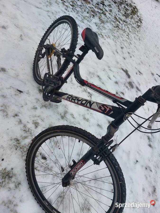 Rower Kostrzyn nad Odrą