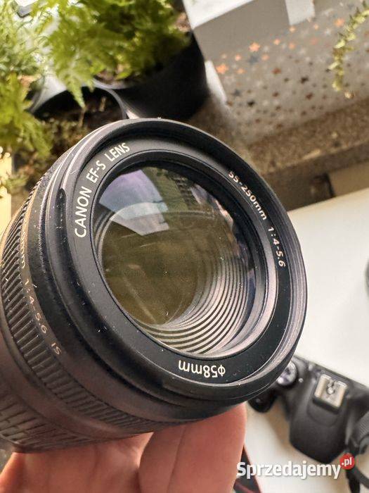 Canon EOS 550D EFS 1855mm EFS 55250mm IS
