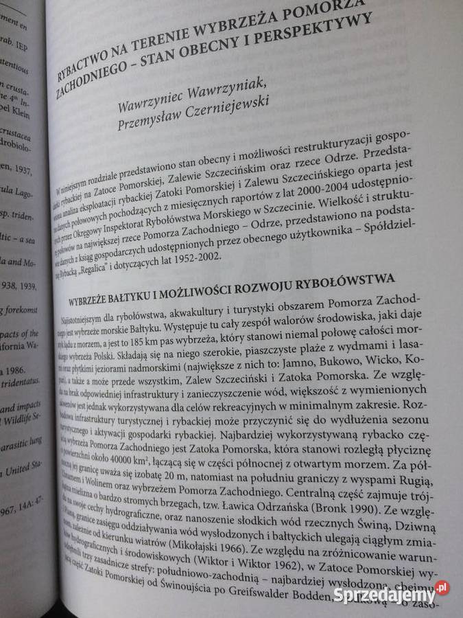 3400 Morze Ląd Wzajemne Relacje Antykwariat sprzedam
