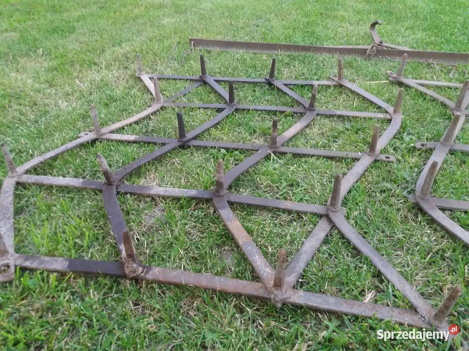 Brony konne Wola Wereszczyńska