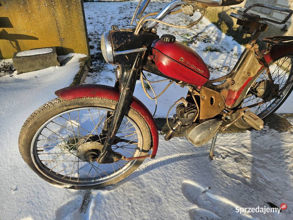 Komar sztywniak 2320 Oryginał Kłodawa