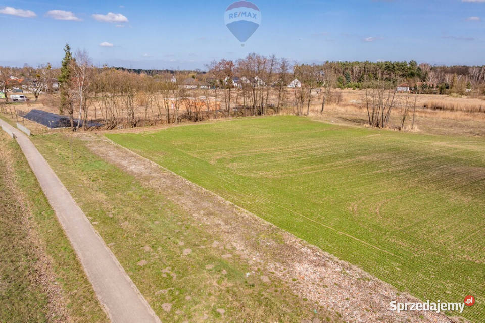 Cerekwica Osiedle Przylesie działka budowlana