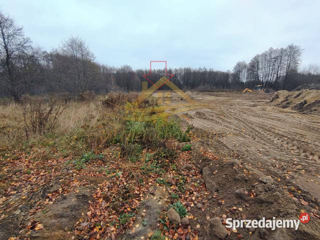 sprzedaży działki Zboiska 3985m2 Sprzedaż
