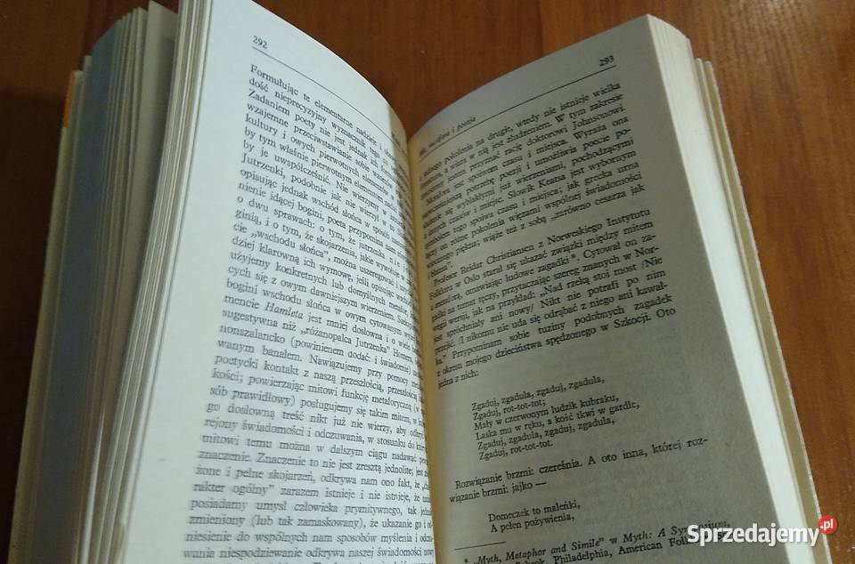 Krytyk i jego światy szkice literackie David pomorskie Gdańsk