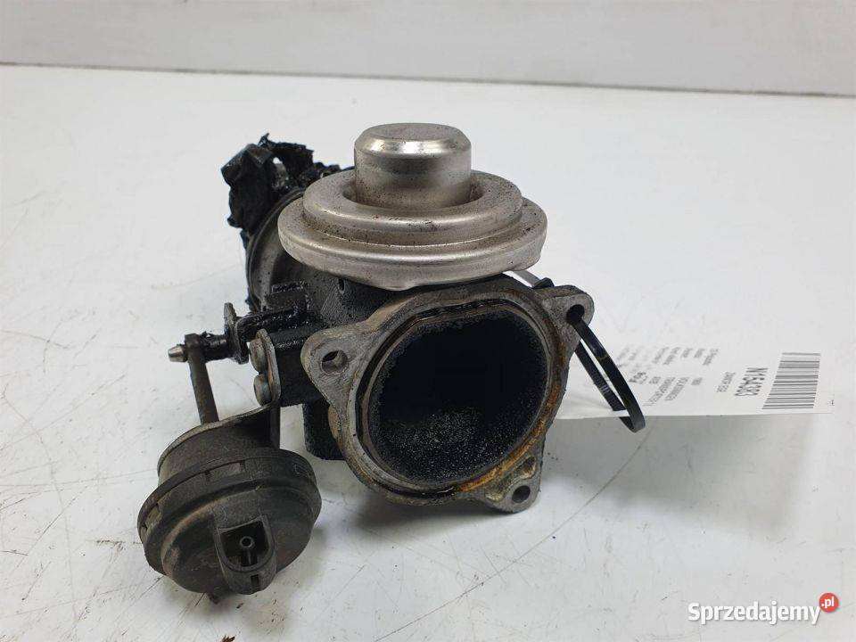 ZAWÓR EGR VOLKSWAGEN TRANSPORTER T5 038131501AA osobowe kujawsko-pomorskie