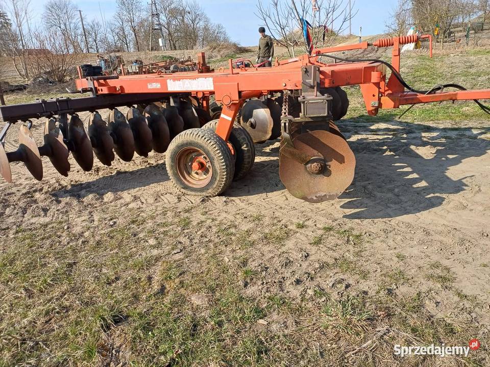 Brona Talerzowa Sitowiec