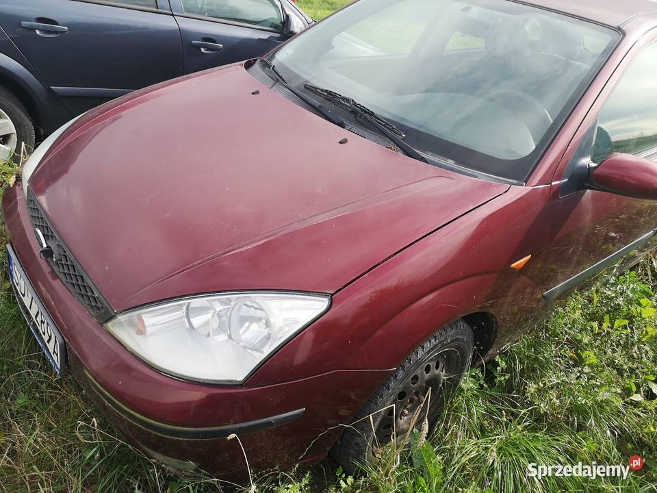 Fotd Focus 18 tdci nieuszkodzony Focus Trzyciąż sprzedam