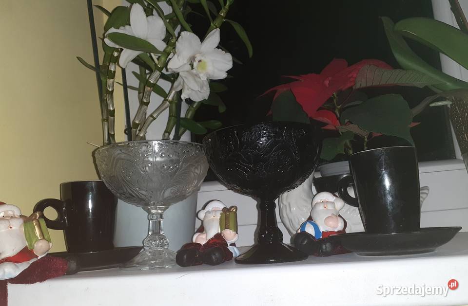 Cukiernice pucharki Ząbkowice KASZMIR i Sosnowiec