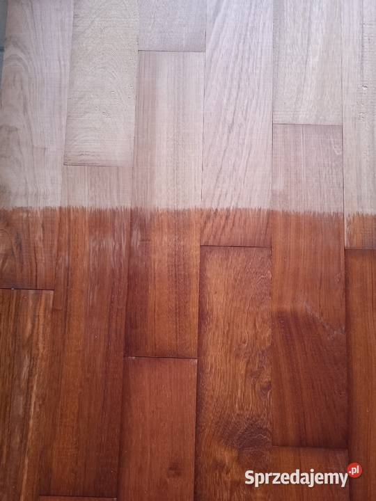 Parkiet egzotyk Jatoba Łódź