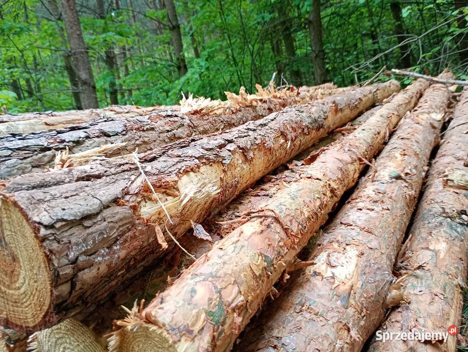 Stęple budowlane Pozostałe Ząbkowice Śląskie sprzedam