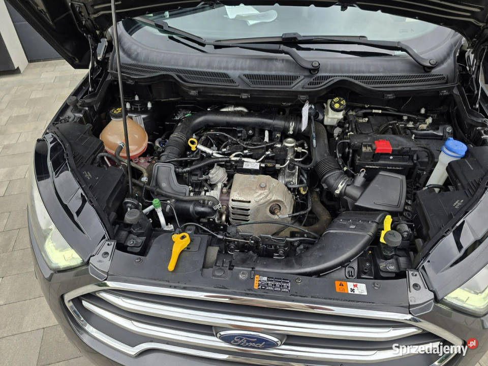Ford EcoSport bezwypadkowy zarejestrowany w wielkopolskie Czarnków