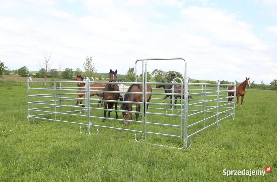 Lonżownik koni menaż lonżownik ocynk ogniowy