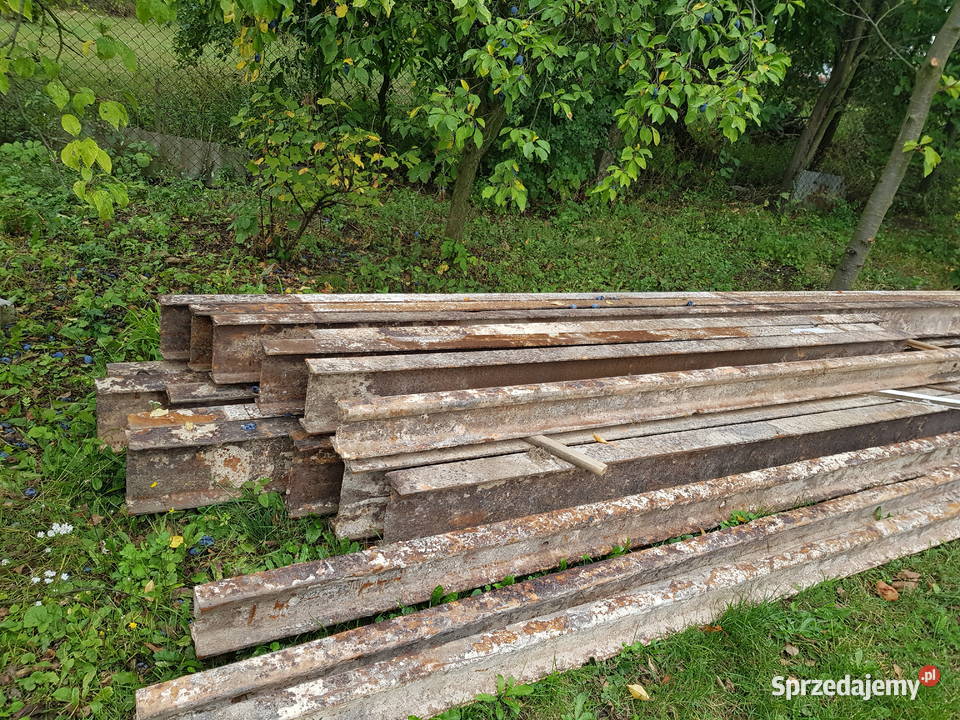 Dwuteownik Trawerza Rozumice