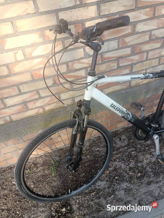 Rower Caledonia koła 28 Toruń