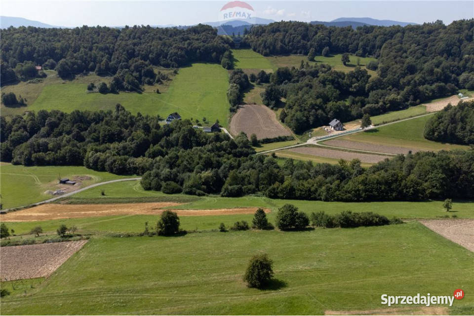 Prywatny las 3331 m2 Twoja przestrzeń w naturze Młynne sprzedam
