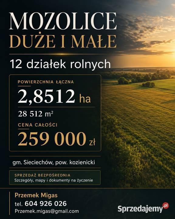 Grunty rolne 28512 ha 12 działek Mozolice gm 28512m2 Mozolice Duże sprzedam