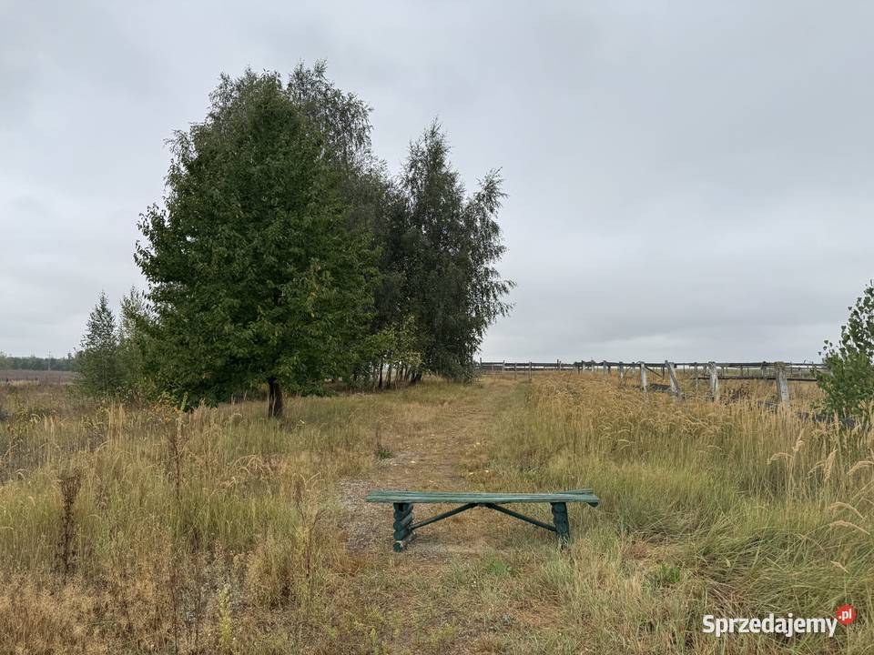 Syndyk sprzeda nieruchomość miejscowość Sochaczew