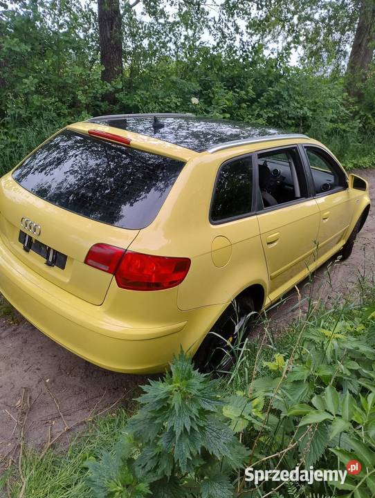 Audi a3 8p 5d Rychwał