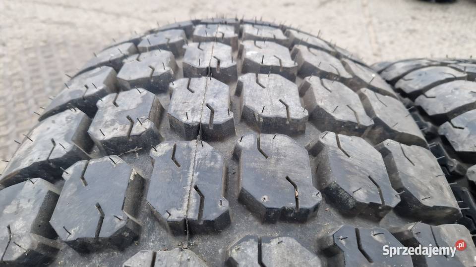 175L24 17524 175L24 Galaxy Michty Mow 100 bież Nowe Miasto Lubawskie