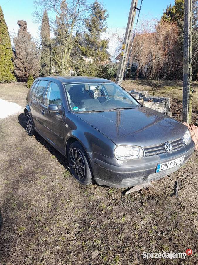 Golf 4 Golf Nysa