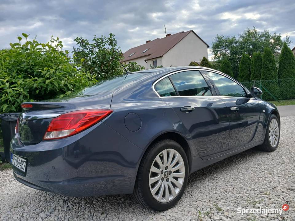 Opel Insignia 2010 20 CDTI 160 Okazja Manualna