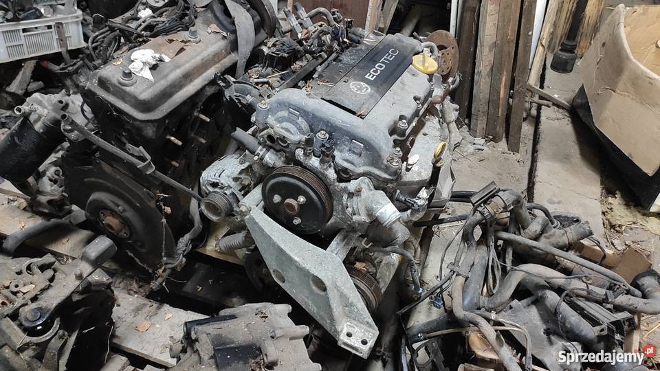 Silnik Opel 12 ECOTEC Sulejów sprzedam