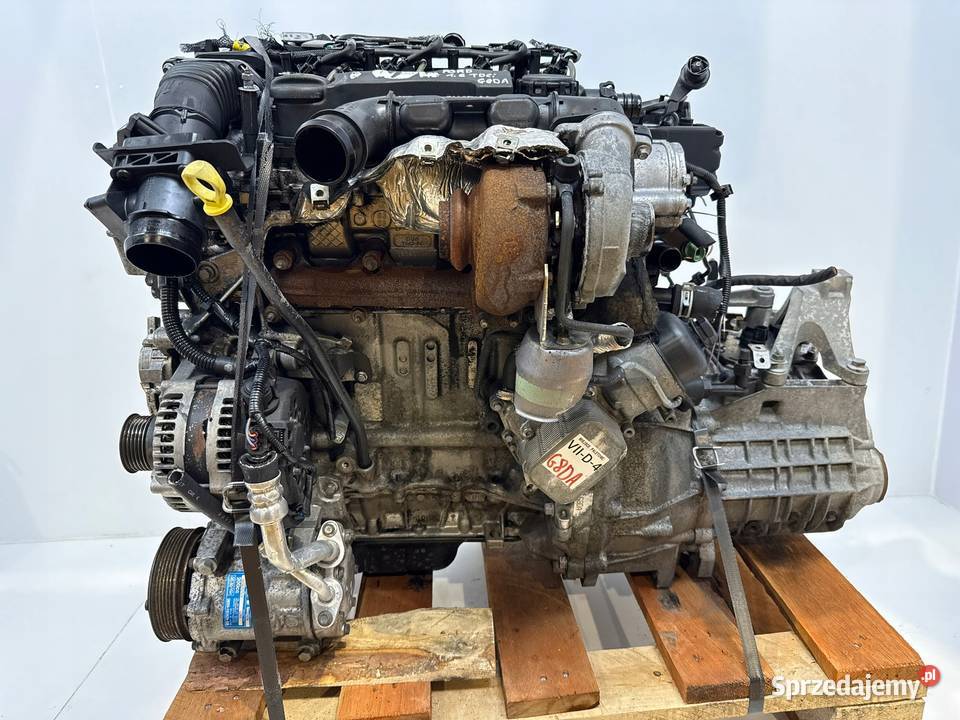 SILNIK G8DA Ford Focus II MK2 C C 16 TDCI 109