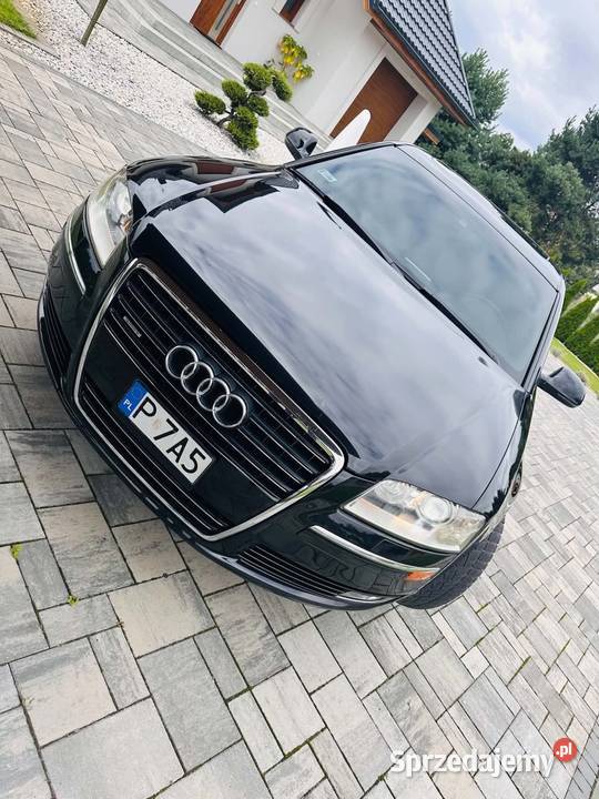 Zarejestrowany 42 V8 Turek